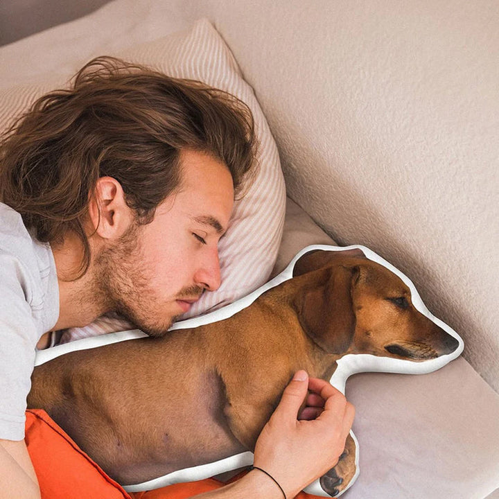 Custom 3D Pet Pillow from Photo