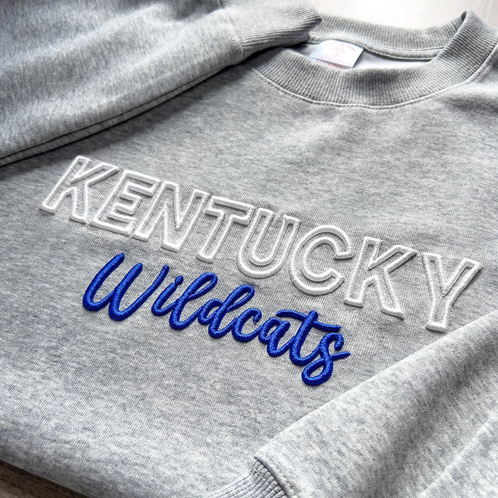 Custom 3D PUFF Embroidery Team Sweatshirt