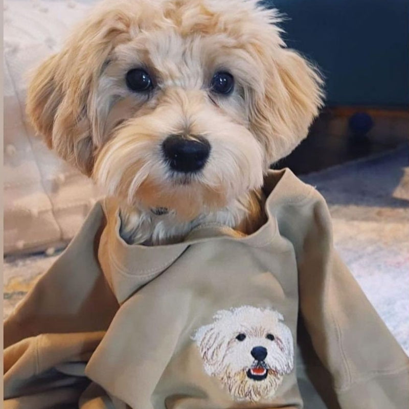 Personalized Pet Face and Name Embroidered Sweatshirt Hoodie