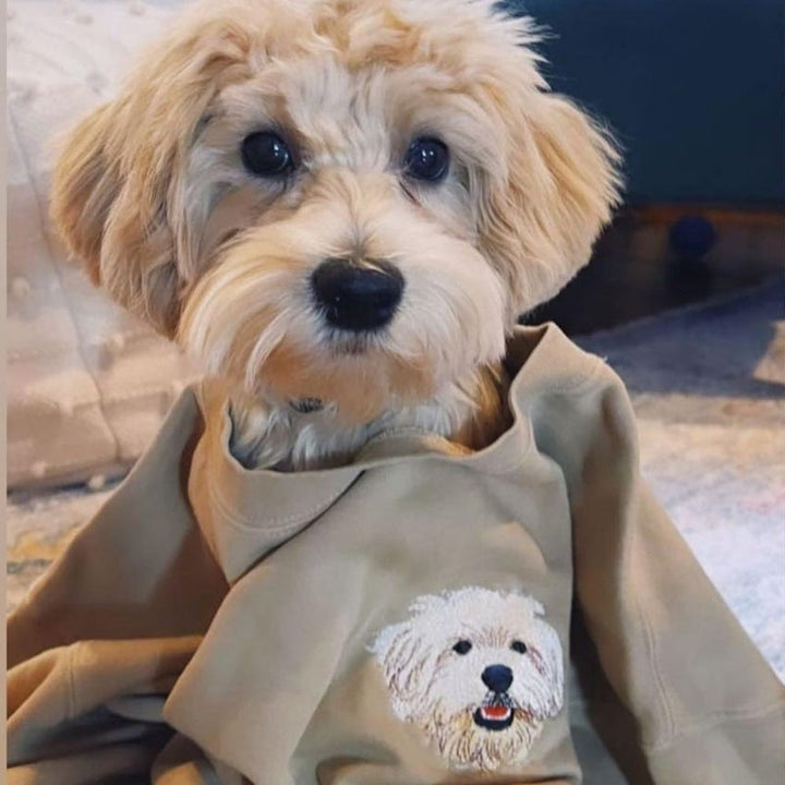 Personalized Pet Face and Name Embroidered Sweatshirt Hoodie