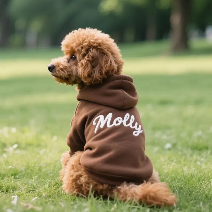 Personalized Dog Embroidered Hoodie