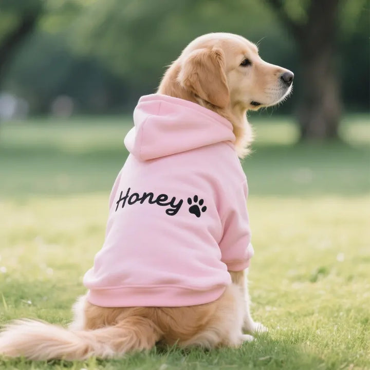 Personalized Dog Embroidered Hoodie