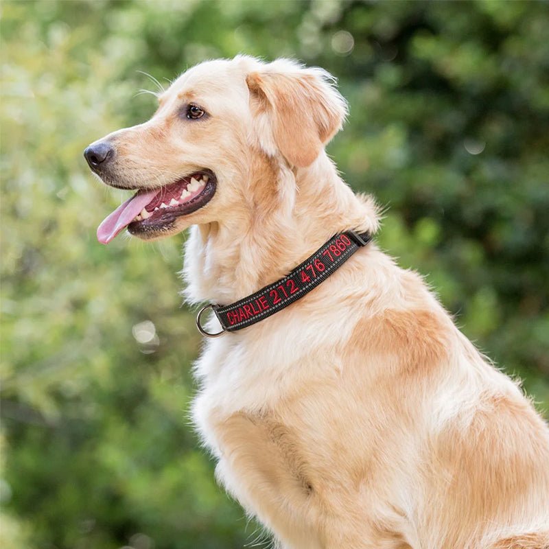 Personalized Adjustable Reflective Strip Dog Collar - Canvasgiftco