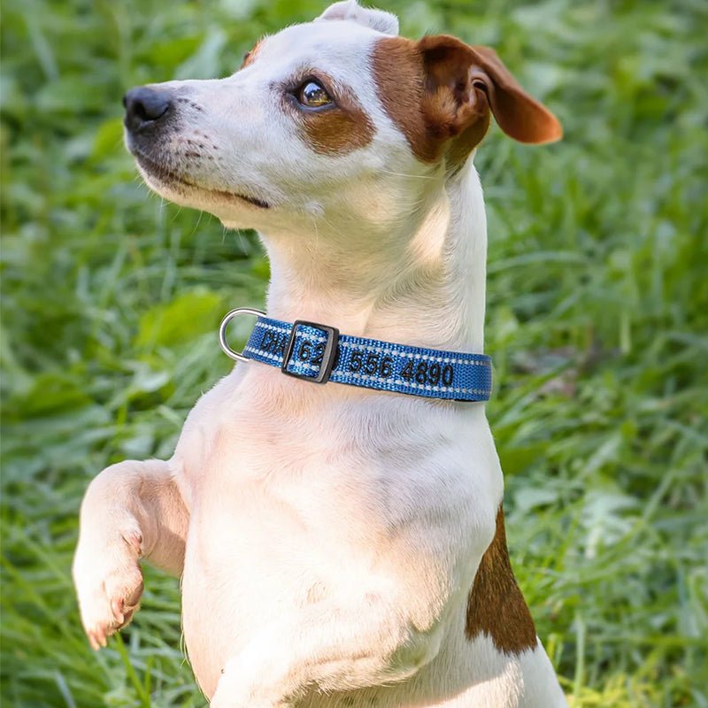 Personalized Adjustable Reflective Strip Dog Collar - Canvasgiftco